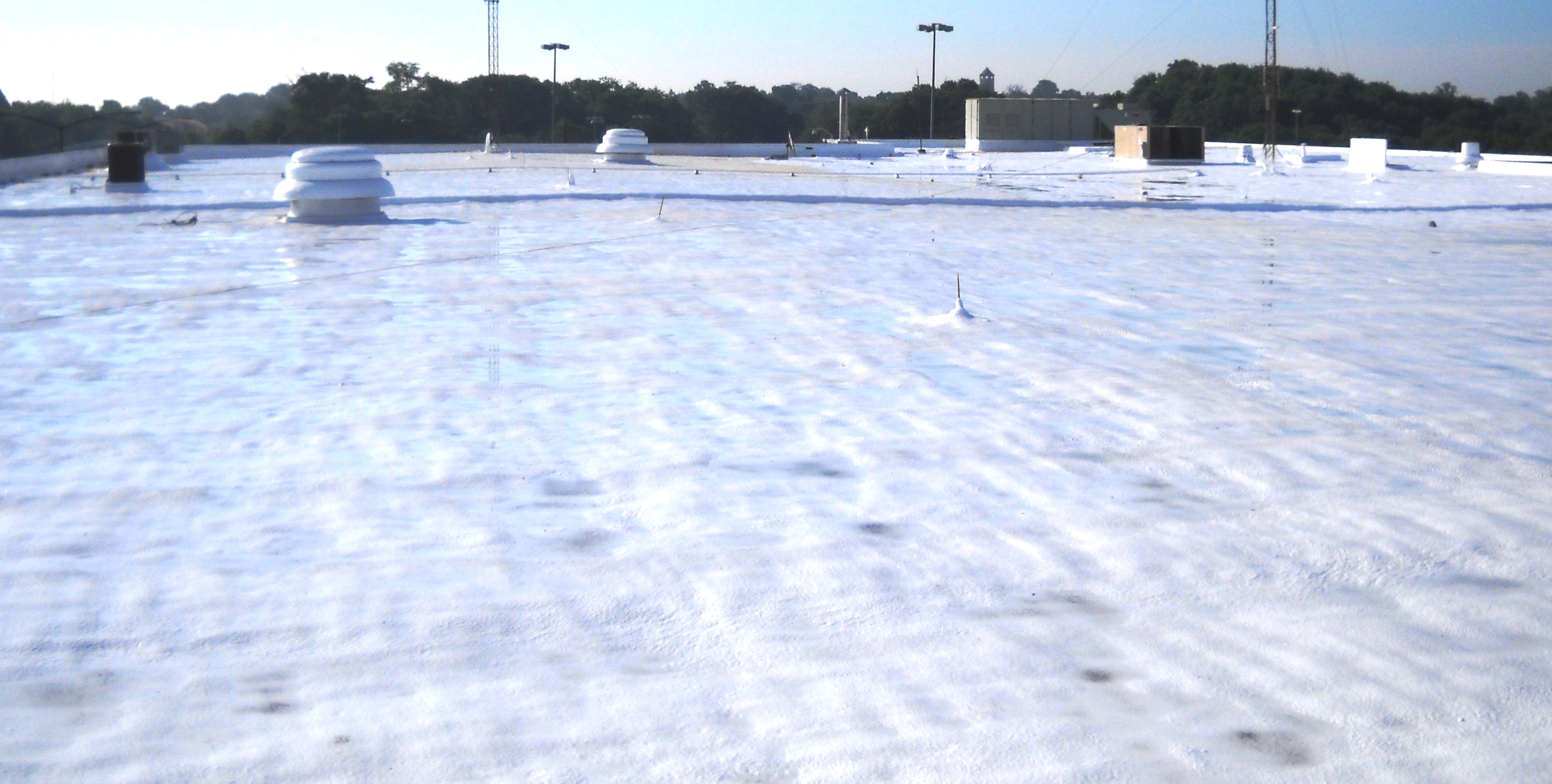 Puddling water after rain evaporates without penetrating the sealant layer.